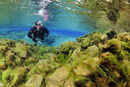 Exclusive Silfra Diving Experience: A Full-Day Private Tour