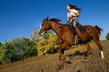 Private Arenal Volcano Horseback Adventure and Baldi Hot Springs Experience