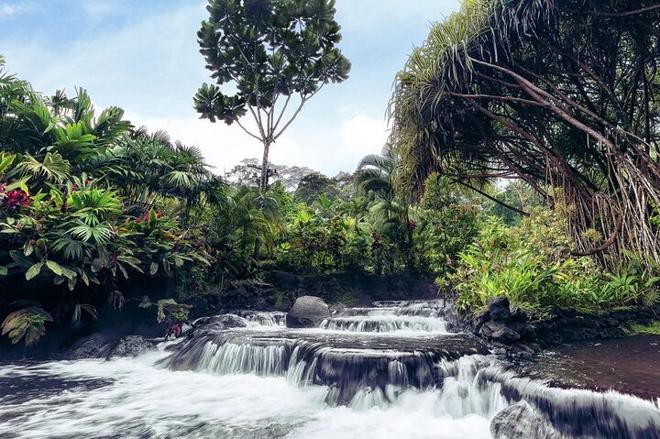 Arenal Hanging Bridges and Tabacon Hot Springs Day Tour from San Jose