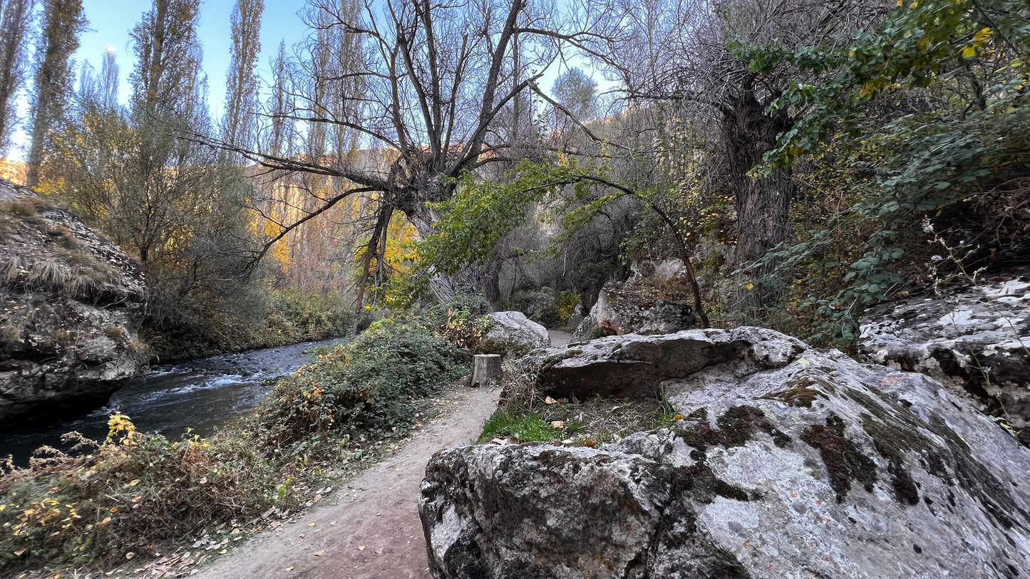 Cappadocia Green Valley Guided Group Tour with Scenic Walking Experience