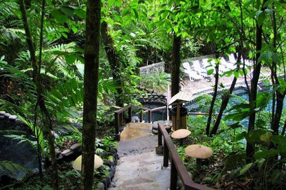 Arenal Hanging Bridges and Tabacon Hot Springs Day Tour from San Jose