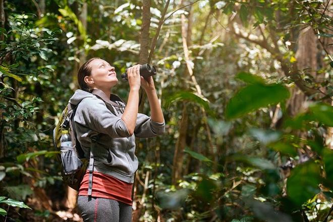 Private Arenal Volcano Eco Adventure and Baldi Hot Springs Experience from San Jose