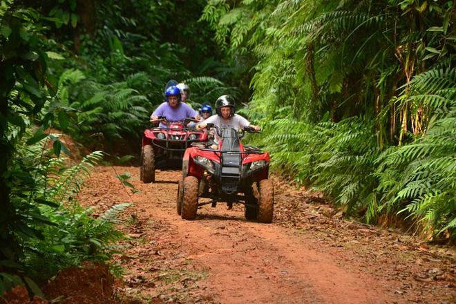 Private ATV Jungle and River Adventure Tour from San Jose