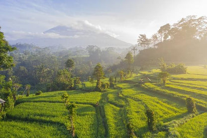 Exclusive Bali Temple and Countryside Exploration