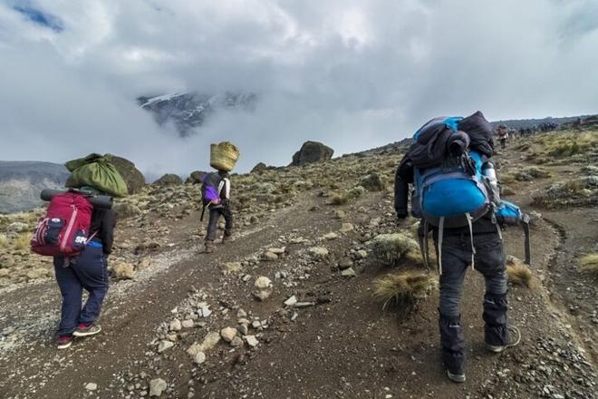 Explore Mt. Kilimanjaro on a 5-day Marangu Route Trekking Adventure