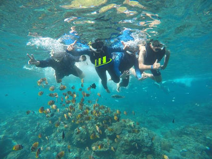 Bali Blue Lagoon and Tanjung Jepun 5-Hour Snorkeling Adventure