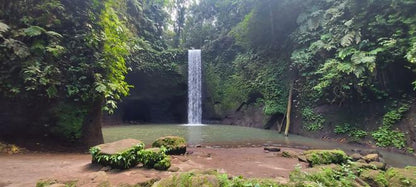 Enchanting Hidden Waterfall Adventure in Bali - Private Tour