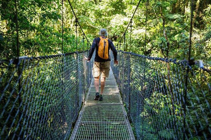 Rainforest Exploration: Private Chocolate Tour and Hanging Bridge Adventure