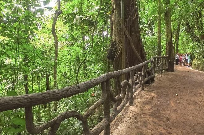 Arenal Volcano Adventure: Private Tour of Hanging Bridges and Baldi Hot Springs from San Jose