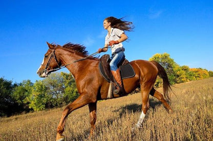 Private Arenal Volcano Horseback Adventure and Baldi Hot Springs Experience