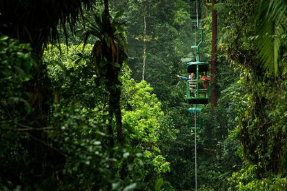 Private Triple Experience Eco Tour: Rainforest Aerial Tram, River Cruise & Nature Walk