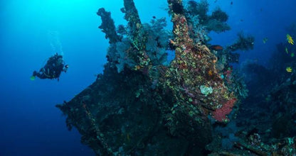 Shipwreck and Coral Garden Dive Adventure for Certified Divers in Tulamben