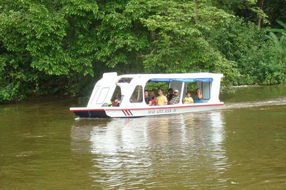 Private Triple Experience Eco Tour: Rainforest Aerial Tram, River Cruise & Nature Walk