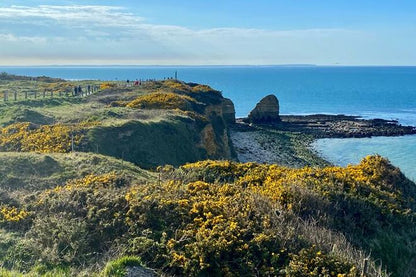 Normandy D-Day Tour: Explore the Top 6 Omaha Beach Sights from Paris