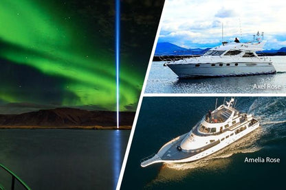 Reykjavík Northern Lights Viewing Cruise: An Enchanting Evening Adventure