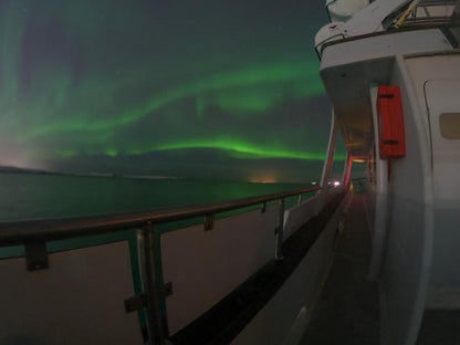 Reykjavík Northern Lights Viewing Cruise: An Enchanting Evening Adventure