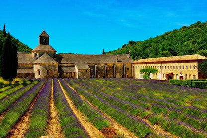 Burgundy and Provence Wine Tasting: 7-Day Small Group Tour Including Nice and Monaco