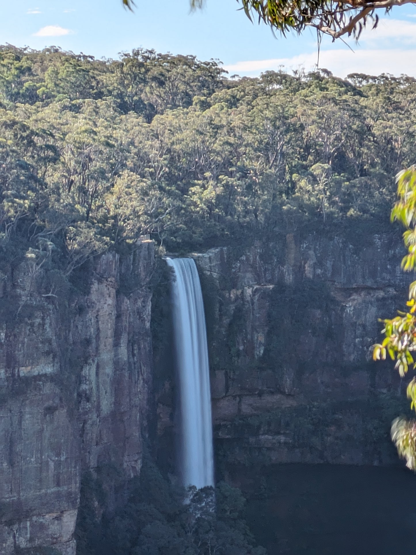 Wildlife and Animals Tour with Wombats and Kangaroos from Sydney