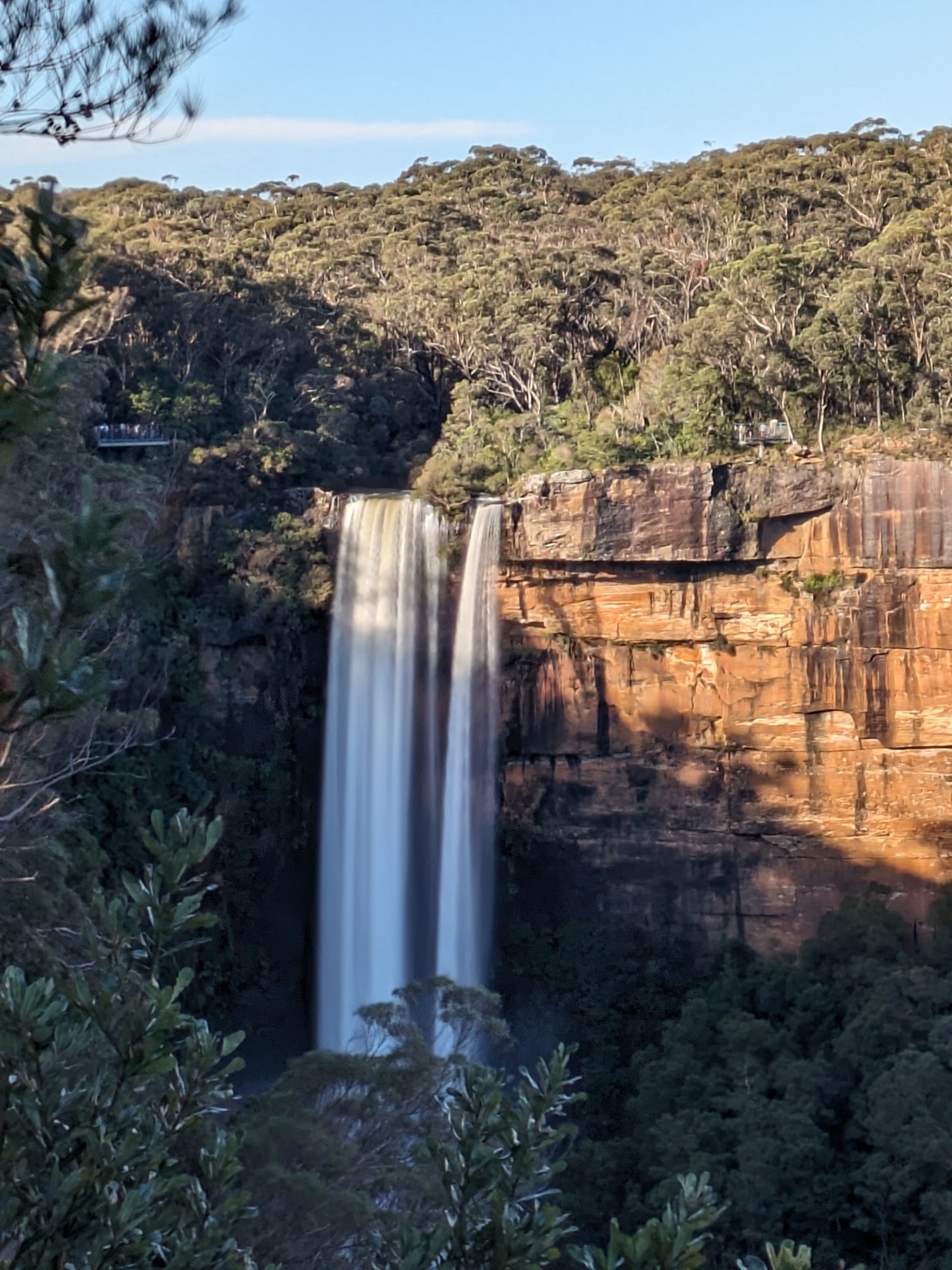 Wildlife and Animals Tour with Wombats and Kangaroos from Sydney