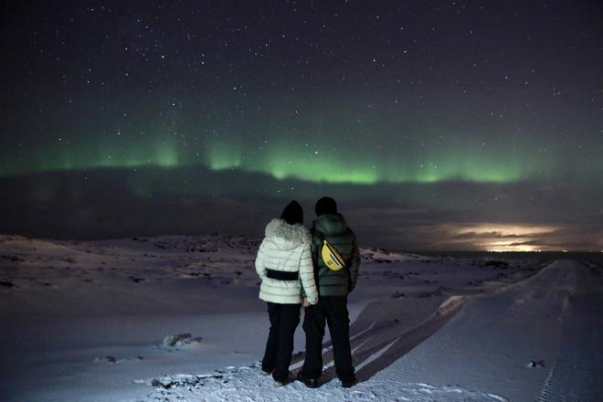 Reykjavik Northern Lights Adventure: Guided Bus Tour