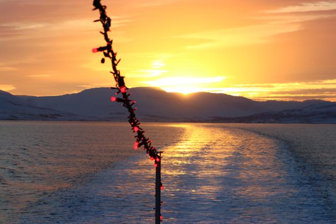 Midnight Sun Whale Watching Adventure in Akureyri