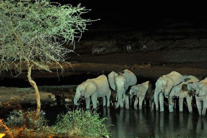 Tsavo West 3-Day Safari Adventure from Mombasa