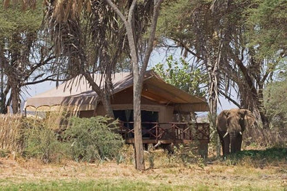 Nairobi and Samburu National Reserve 4-Day Safari Adventure