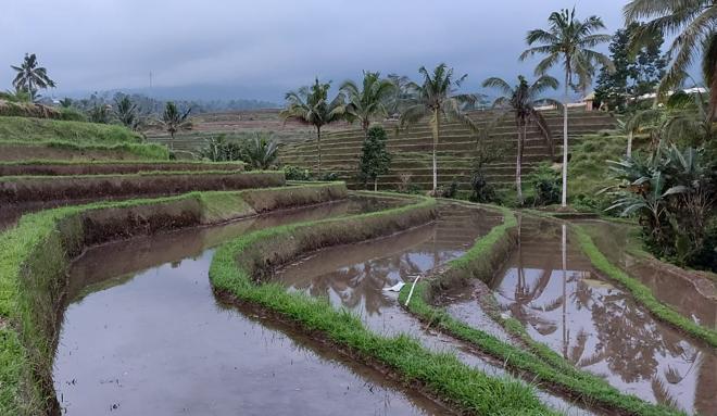 Ultimate Ubud and River Tubing Full-Day Adventure