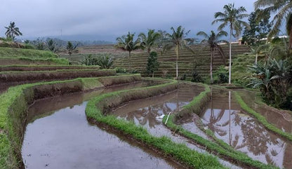 Ultimate Ubud and River Tubing Full-Day Adventure