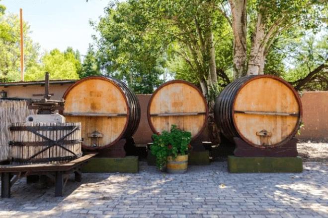 Explore the Wine Route: A Journey Through Renowned Wineries