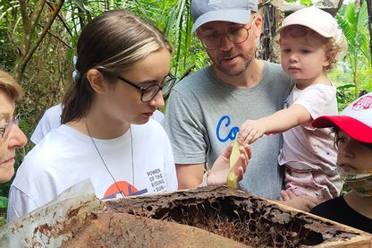 Discover the Secrets of Sustainable Beekeeping: Stingless Bee Honey Farm Tour