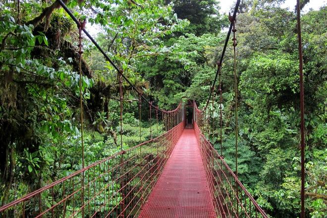 Costa Rica's Top Destinations: 13-Day Tour Program