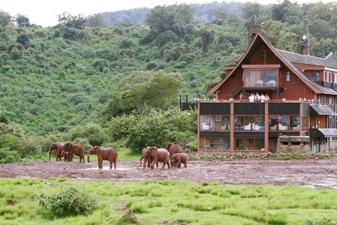 Samburu and Aberdares National Park 4-Day Safari Adventure