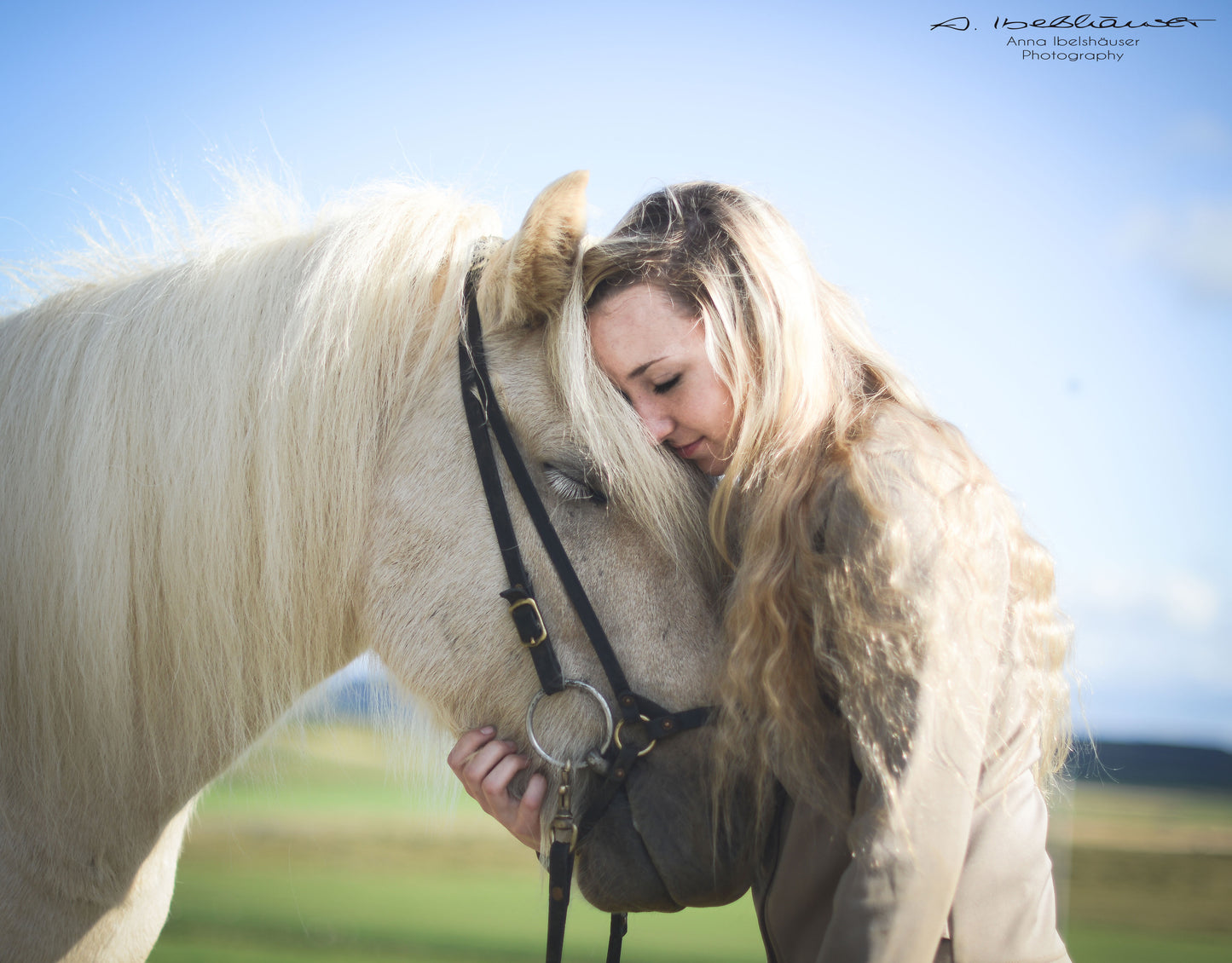 Explore Iceland on Horseback: 1-Hour Icelandic Horse Riding Experience