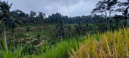 Ubud Trekking Experience: Explore Tegallalang Rice Terraces and Waterfalls