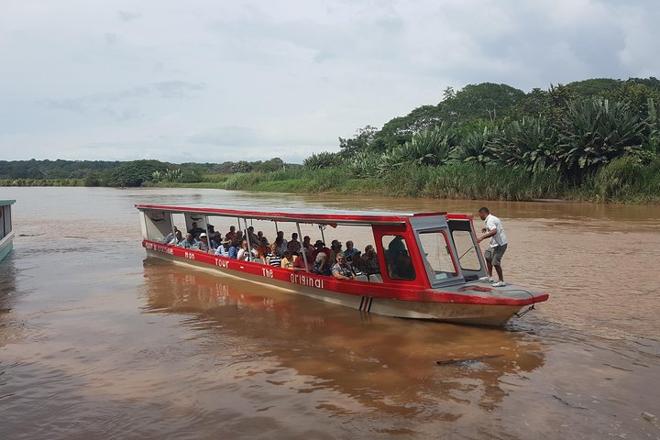 Private Crocodile Safari and Carara National Park Expedition