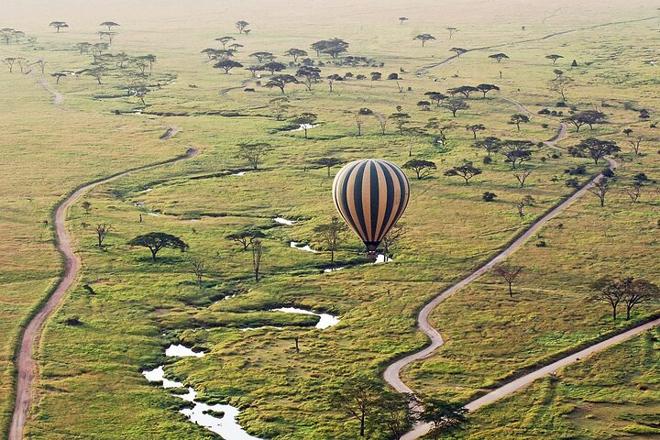 Kenya Wildebeest Migration Adventure: 8-Day Safari Experience