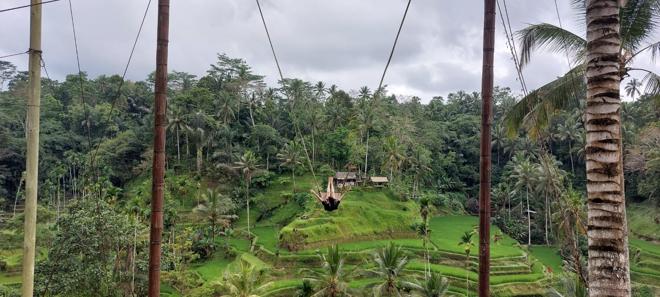 Exclusive Bali Escape: Discover Penglipuran Village & Majestic Mt. Batur Views