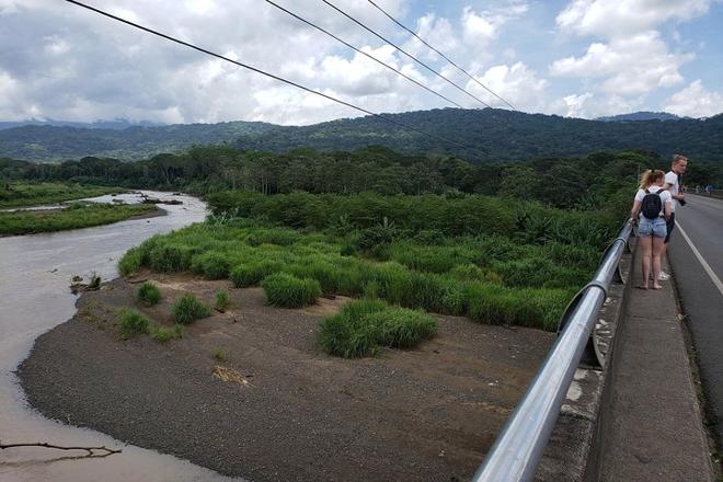 Puntarenas Coastal Adventure: Jungle and River Wagon Expedition