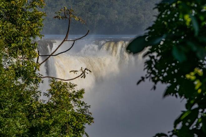 Private Tour: Explore Itaipu Dam and Iguassu Falls Brazilian Side