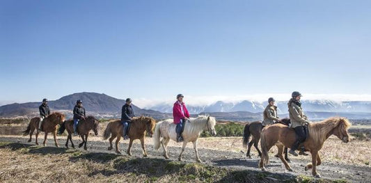 Experience Reykjavik: Whale Watching and Horseback Riding Adventure