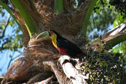 Explore Ilhabela: Discover São Paulo's Coastal Paradise on a 3-Day Private Tour