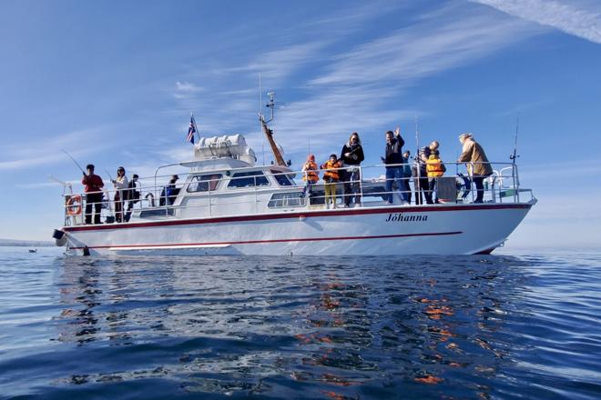 Reykjavik Premium Sea Fishing Experience with Gourmet Meal