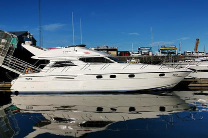 Whale Watching Adventure Cruise Departing from Reykjavik