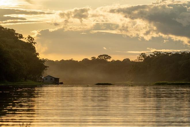 Explore the Amazon: 4-Day, 3-Night Stay at Tapiri Floating Lodge