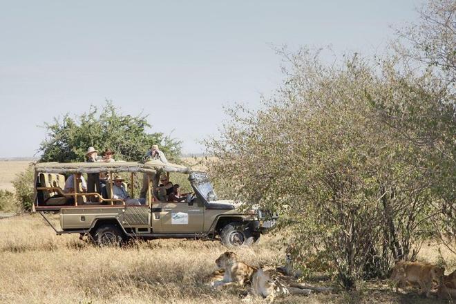 Mara 2-Day Luxury Safari Getaway by Air