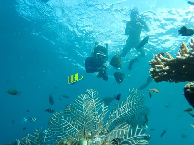 Snorkeling Adventure at the USAT Liberty Shipwreck in Tulamben, Bali