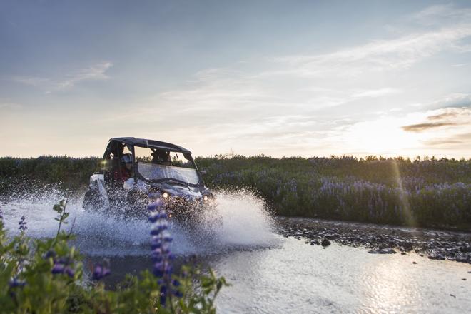 Reykjavik Whale Watching and Buggy Adventure Tour