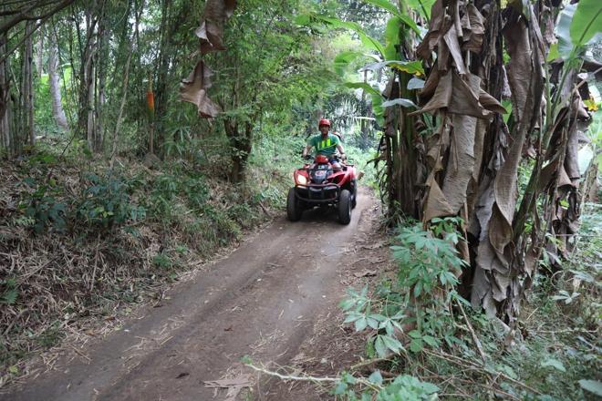 Bali Ubud ATV Quad Bike Adventure Tour