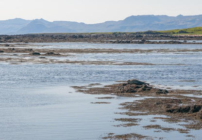 Discover the Snæfellsnes Peninsula: A Scenic Tour from Grundarfjordur Port